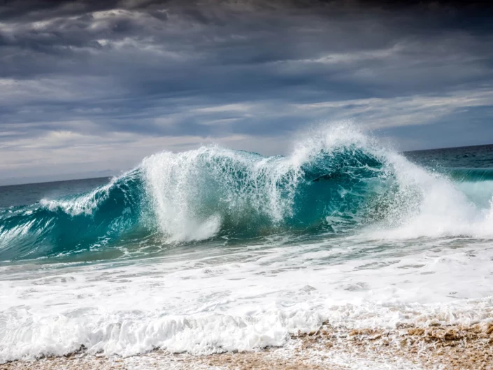Photo: Michael Vos Photography