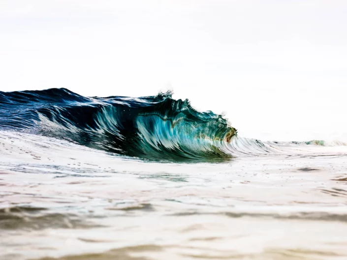 Photo: Michael Vos Photography