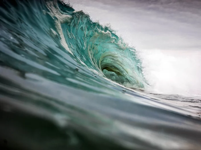 Photo: Michael Vos Photography