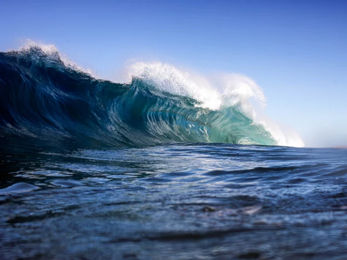 Photo: Michael Vos Photography