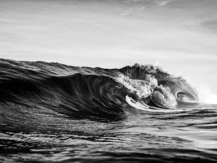 Photo: Michael Vos Photography