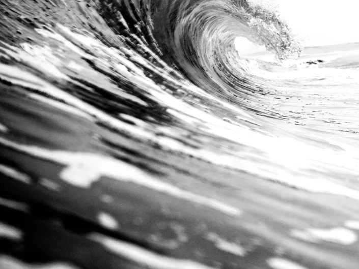 Photo: Michael Vos Photography