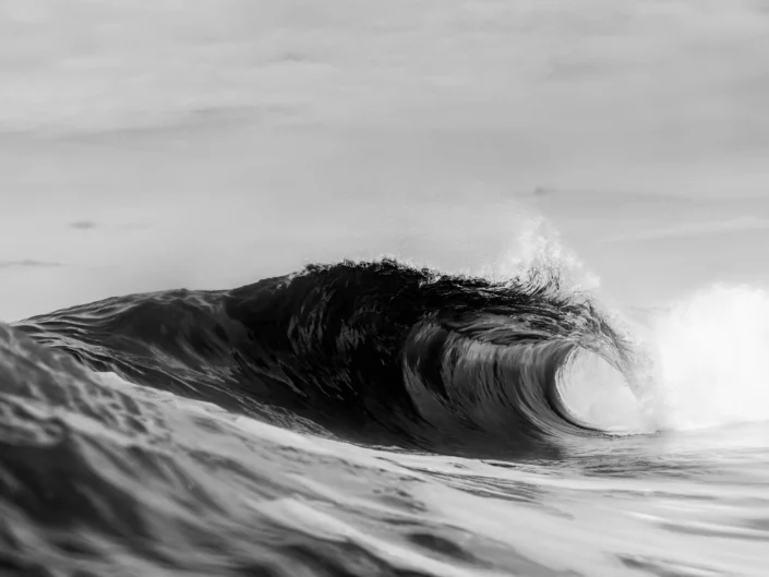 Photo: Michael Vos Photography