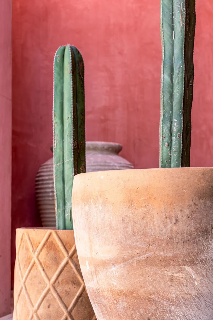 Michael Vos Photo: Laiva Residences San Jose Del Cabo