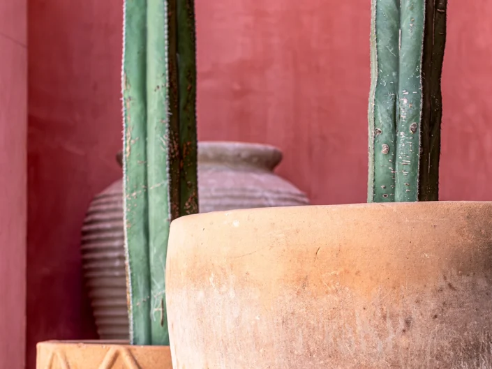 Michael Vos Photo: Laiva Residences San Jose Del Cabo