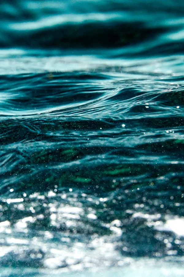oceanscape-1